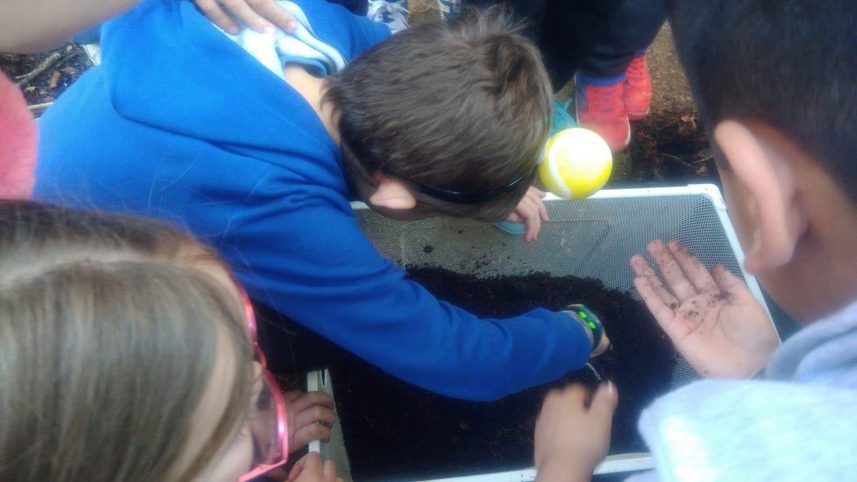 eco_fep's tweet photo. Els alumnes de 3r i 4t d’EP d’ @esperanca1965 han fet el primer buidatge del compostador.
Han tret compost per l'hort de l'escola!
#somesperança #ecofep #ecospes #escolessostenibles #mediambient #escolesverdes #sostenibilitat @escolesfep @escolesXESC @ecofep https://t.co/5oVqkG4YnP