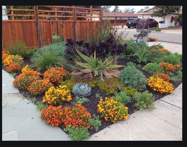 rateitgreen's tweet photo. Turf Removal #Class, 2/22, #Torrance #CA: https://t.co/HDsys4Dhbi @SouthBayCCOG @SBESC #TurfRemoval #landscape #landscaping #turf #turfremoval #sustainability #environment #xeriscape #climatechange #greenbuilding #gardens #gardening #green #California MT @lasouthbaynews https://t.co/PcnRodU5o2