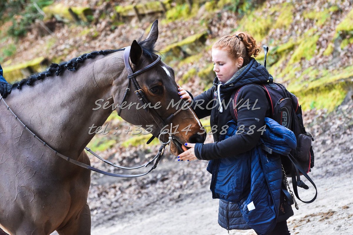 Day 1 ✅ Les chevaux s’acclimatent et notre tournée à Royan commence bien grâce aux sans faute de Demoiselle d’Elle et Azure des Roches. 

📷 Séverine Moronval - Photographe