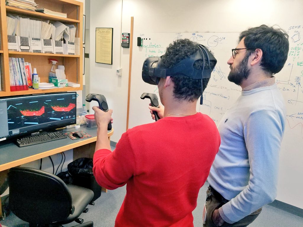 KirchhausenLab's tweet photo. Why looking at endoplasmic reticulum on a screen, when you can use virtual reality? #VR #VirtualReality #3D #science https://t.co/YApmDWVF5E
