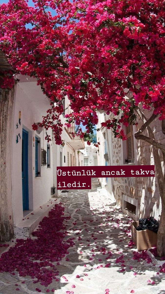 Hacer🇹🇷 (@hacergokallp) on Twitter photo 