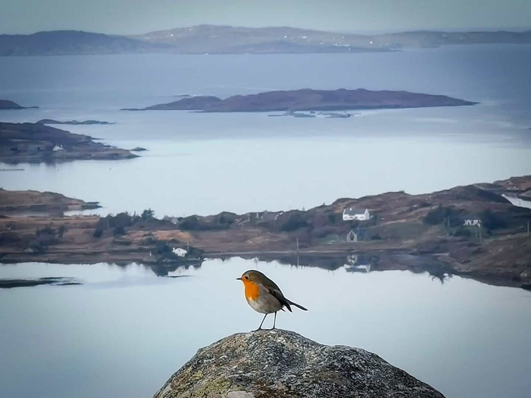 Visit Galway tweet media