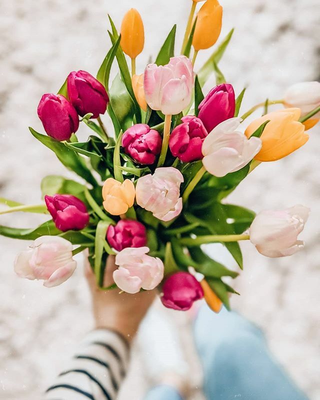 Hello hello! Been a bit quiet over here as I've been trying to organise some things for Evie's birthday and make sure it feels special even though we are celebrating earlier than the day itself.
.
Feeling a bit more organised now that I've ordered her pr… ift.tt/2P7Kh26