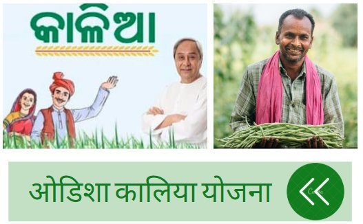 PM_Schemes's tweet photo. KALIA Yojana List Odisha 2020 Apply @ https://t.co/AIgXrGVFyh https://t.co/LFXZP9C3gM https://t.co/SmjjbXUpY8