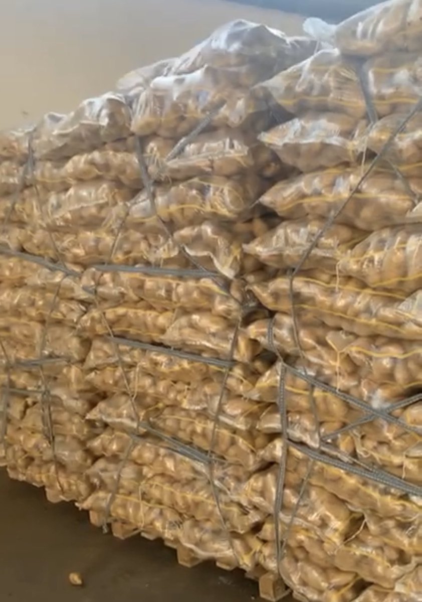 tubergroupco's tweet photo. Another load of our fantastic quality Spunta potatoes destined for Dubai!
Contact us for our latest prices!
#dubai #UAE #potatoexport #export #freshproduce https://t.co/EEo2ph2jiM