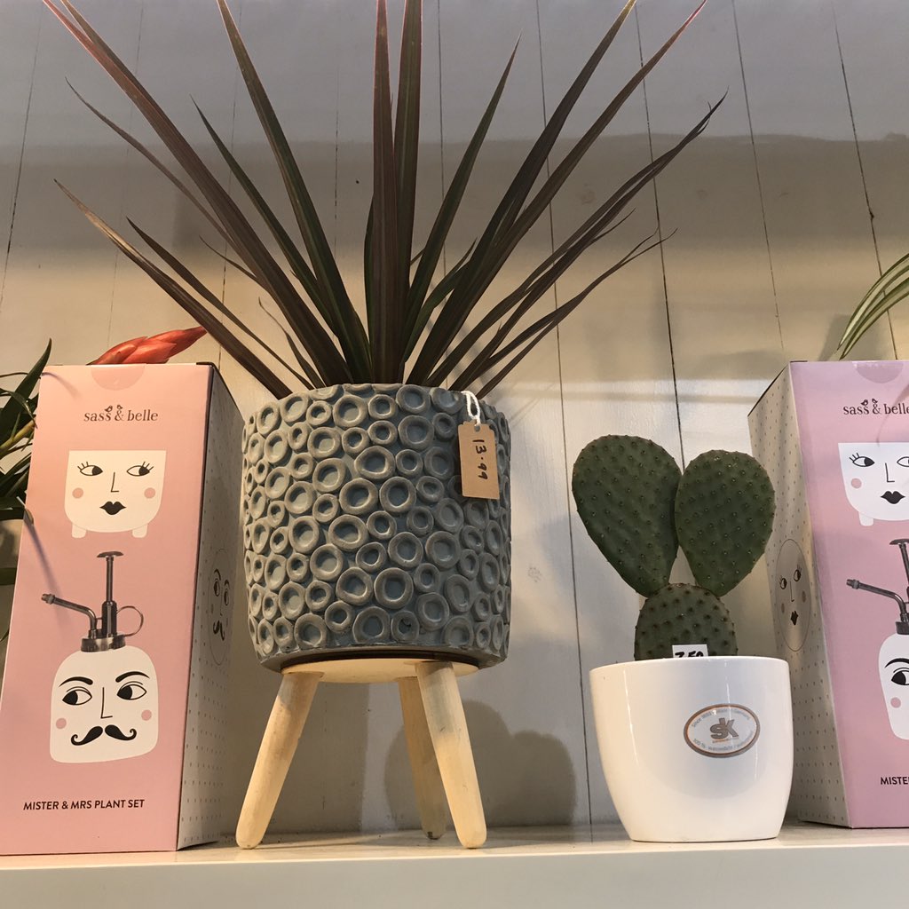 New stock in today  <a href="/sassandbelle/">Sass & Belle</a> #Fridakahlo  #planter #houseplants #plantdecor #florist #weymouthflorist #shoplocal #smallbusiness #shelflife