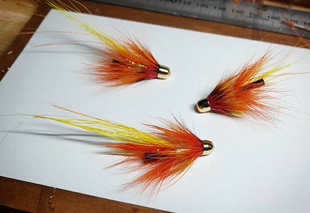 MFlycraft's tweet photo. Flamethrower coneheads tonight. Cracking year round pattern
#salmonflies #salmonfishingscotland #salmonflyfishing #thetugisthedrug #flytyingjunkie #flytyingart #steelheadflies #flytying #flyfishingscotland #flyfishing #flybox #flyboxporn #flybench #rodb… https://t.co/MrR6z1DKX8 https://t.co/CJuhadsRC7
