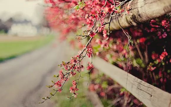 행복에서 
불행의 거리는 
고작 
한 발짝밖에 안되지만 

불행에서 
행복의 거리는 
매우 먼 거리이다...

「유태격언」