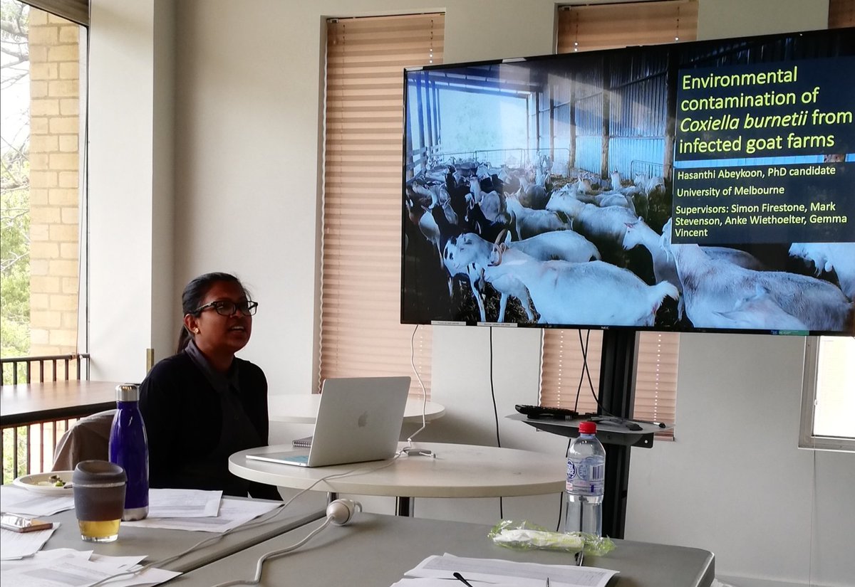 Qfever_Group's tweet photo. Q fever group team meeting in Melbourne. Hasanthi Abeykoon @FVASunimelb discussing environmental sampling for Coxiella around a known point source. @Qfever_Group https://t.co/OZDeAQsqaE