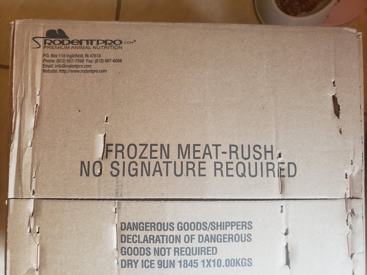 DragonDarkAngel's tweet image. I often wonder what my FedEx driver thinks of me with all of my Chewy deliveries then a box like this delivered today? He's probably wondering what the heck I have in my house. Hehehe
#SnakeMom
#ReptileMom
#MyPetCanEatYourPet