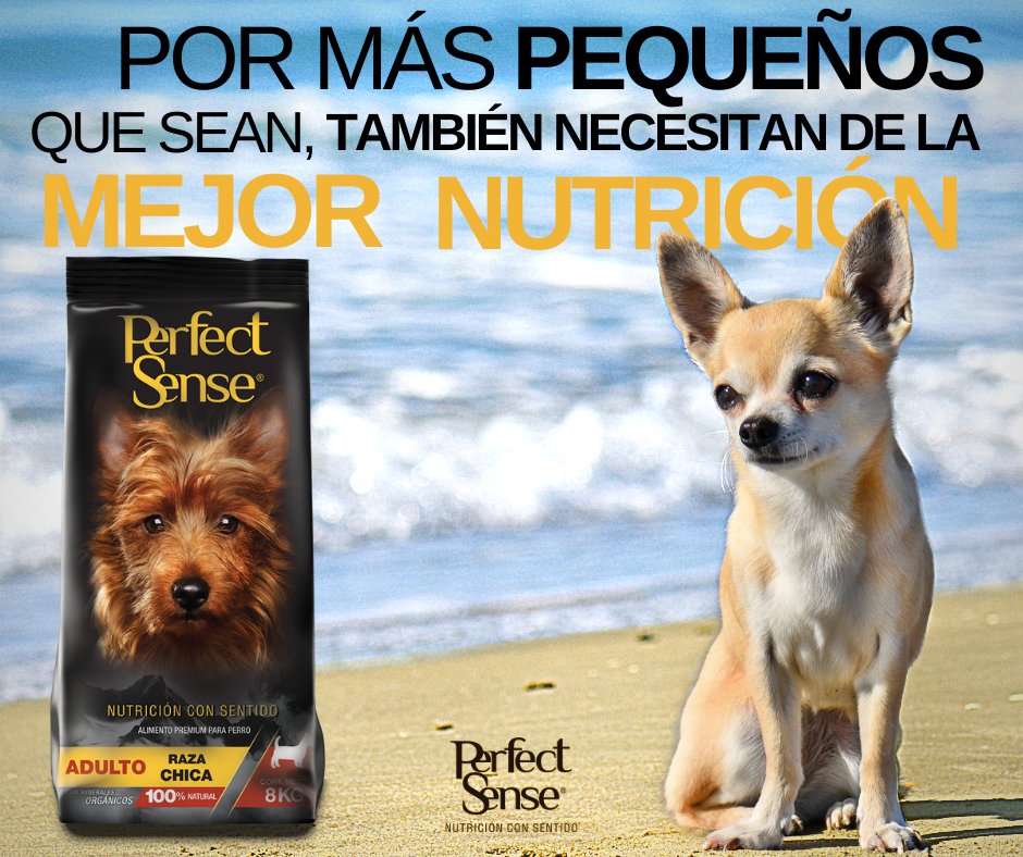 🐕 Por más pequeños que sean, también necesitaran de la mejor nutrición. 🐶 👀✅