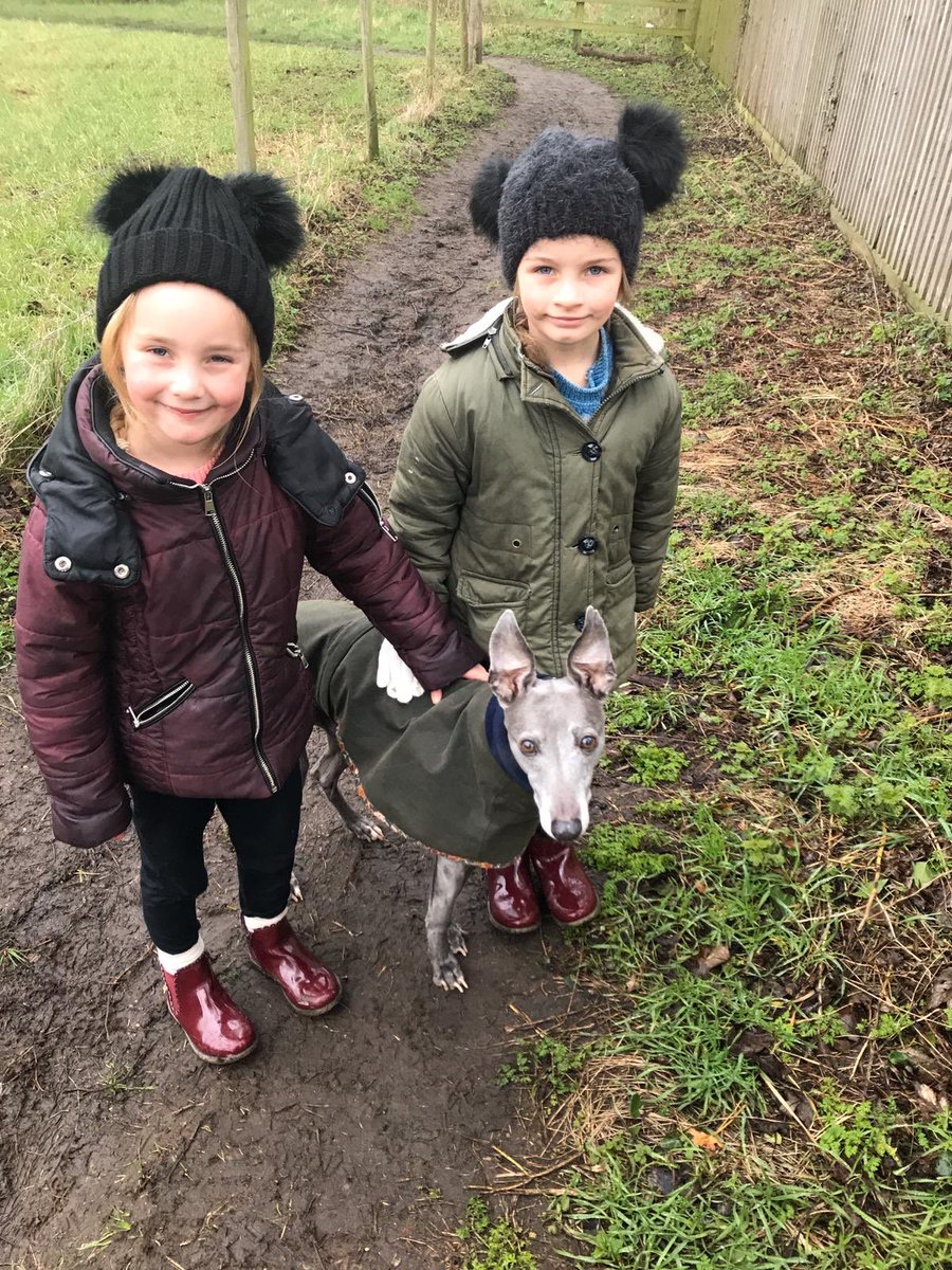 jessarmstrong28's tweet photo. Looking after my nieces this evening. 6y/o: “I wonder what I’ll study at University” 🌈💜💫🔮 https://t.co/xVjfukdDxb