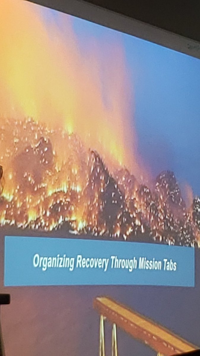 Hack2Normal's tweet image. The 4 Pillars of disaster recovery: environment, economy, people &amp;amp; reconstruction.

#EMSS20