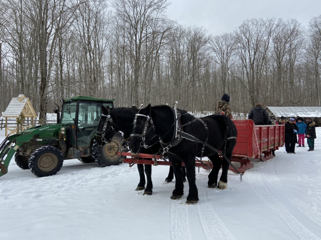 lauriepna's tweet photo. #awesome #GlendaleFarms #sleighrides. #wagonrides https://t.co/ISGP18lHtZ
