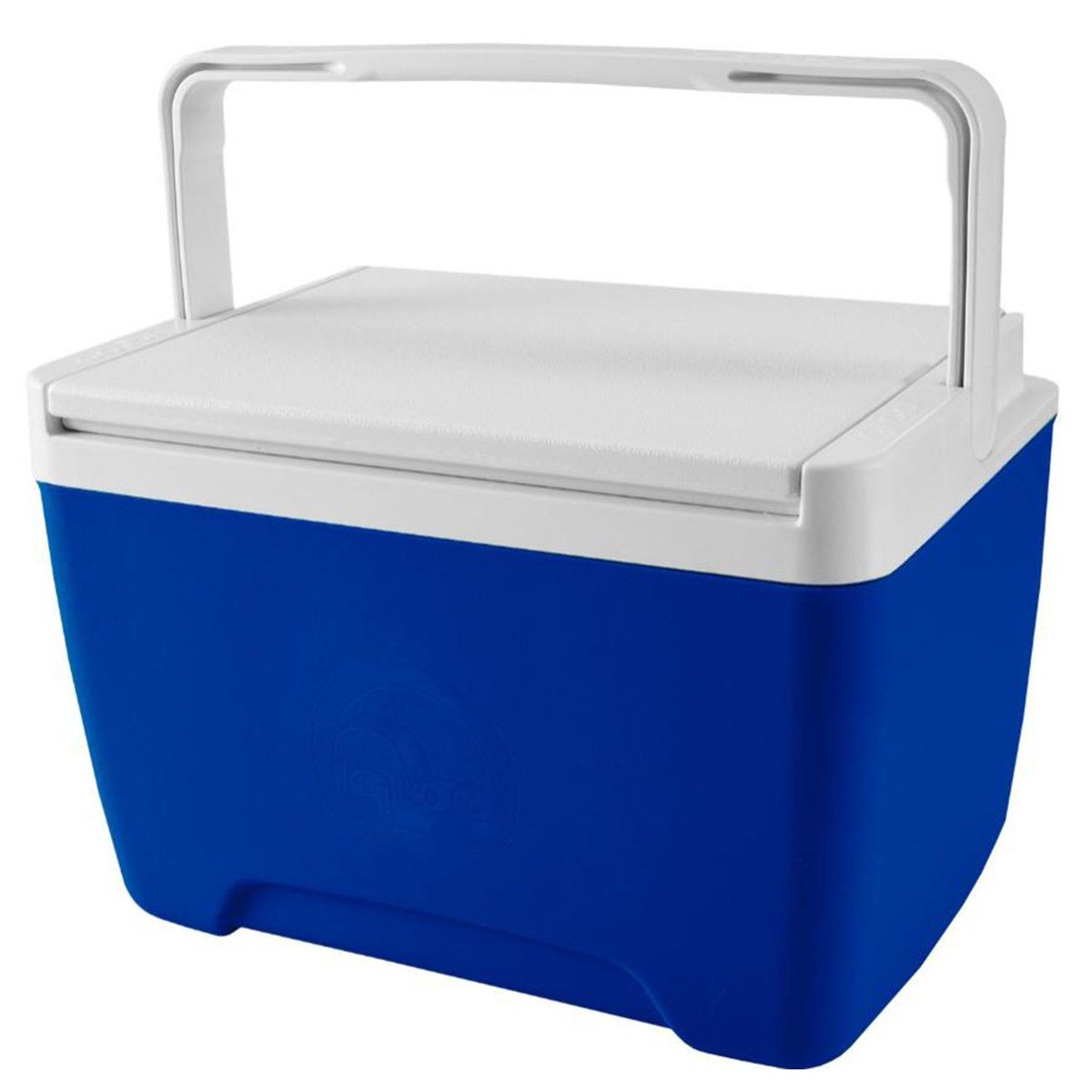 igloo lunch box kids