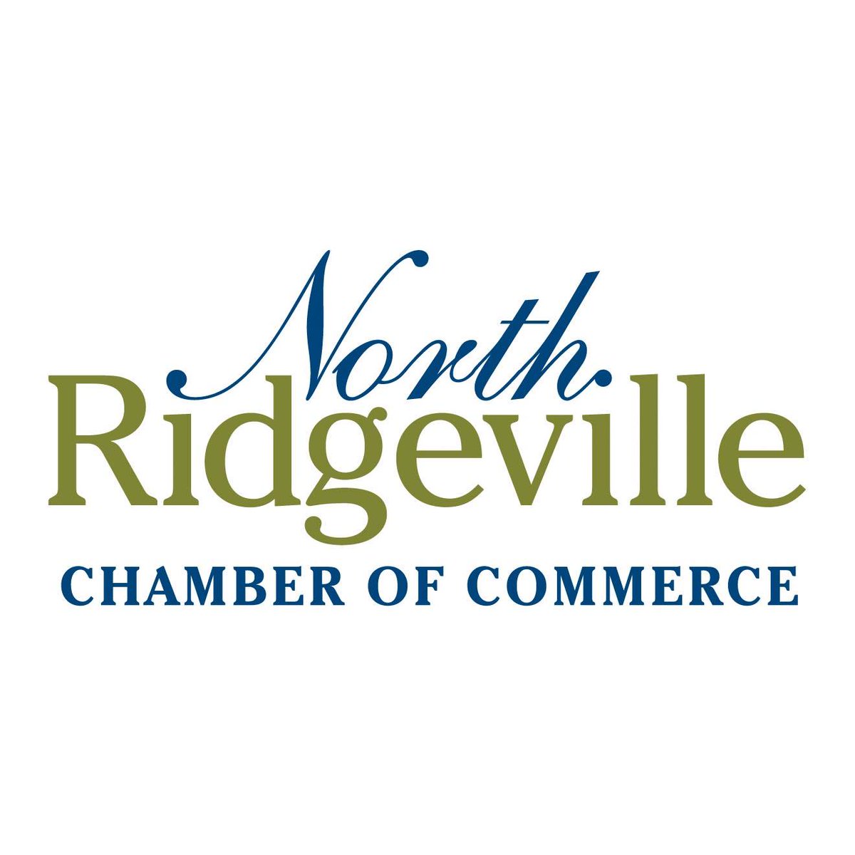 NRC4BS's tweet photo. Thank you North Ridgeville Chamber of Commerce &amp; Visitor's Bureau for endorsing Issue 13! @ChamberNR https://t.co/KJToU1SAck