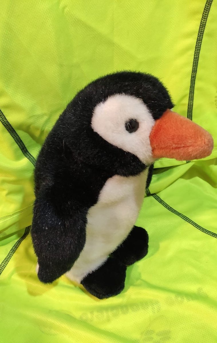 Ju_Samka's tweet photo. ¡Ese perfil! ¡Oh, sí!

Él es nuestro pingüi número 3. Está buscando un hogar lleno de amor y #SoftwareLibre♥️

¡Quieres llevártelo a casa?
Ven a #ComadresTech #CompadresTech y participa de nuestra subasta :)

Gracias @tebot por donarnos tus pingüis :) https://t.co/7eClBt0ME3