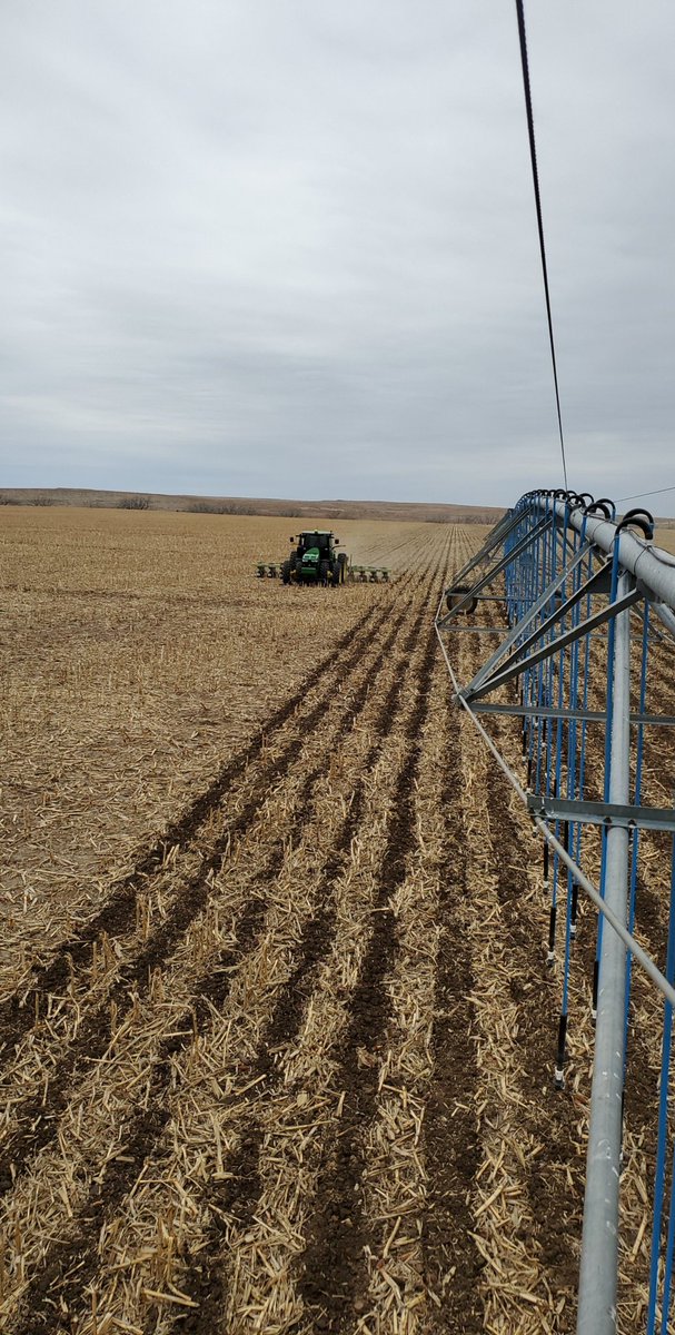 batregellas's tweet image. Artisty striptill photo #TFF @JohnDeere @orthman @ValleyPivots #corn 🌽 #txag