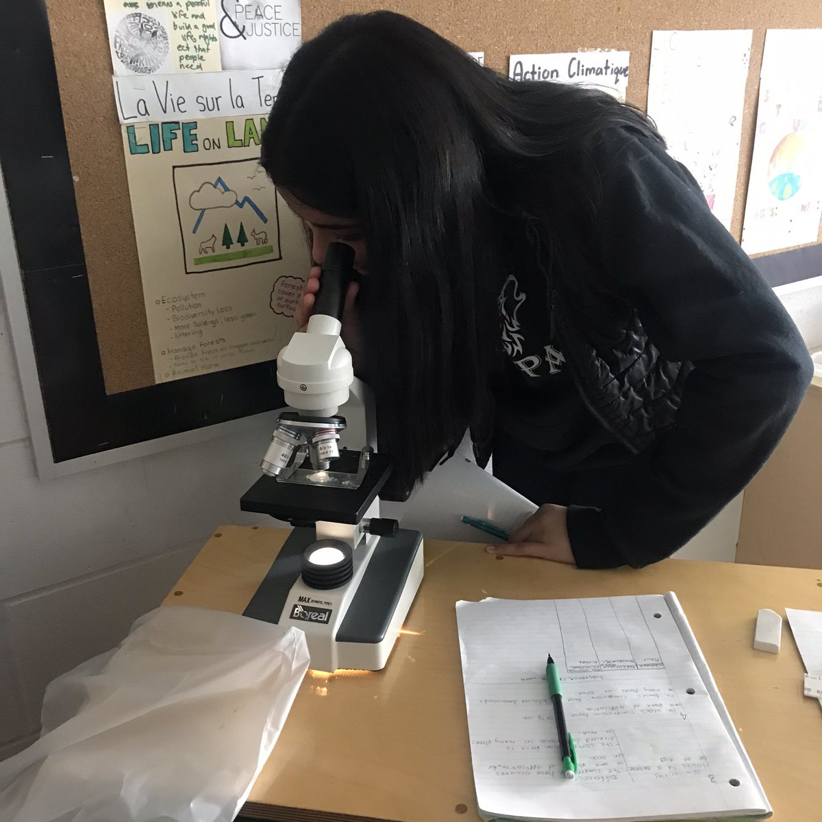 Ms. Pham tweet media