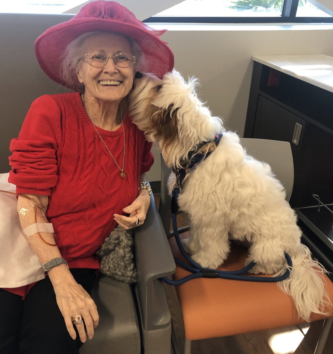 I went with my grandma to the doctor’s to practice for my #therapydog testing. My first of 5 tests is this Saturday! So nervous because sometimes I still like to give kisses to unsuspecting friends! Luckily, my grandma doesn’t mind! #futuretherapydog #dogsoflasvegas