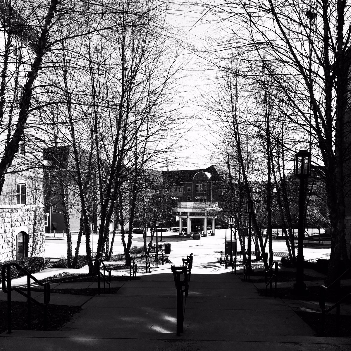 IUP Student Photography Association tweet media