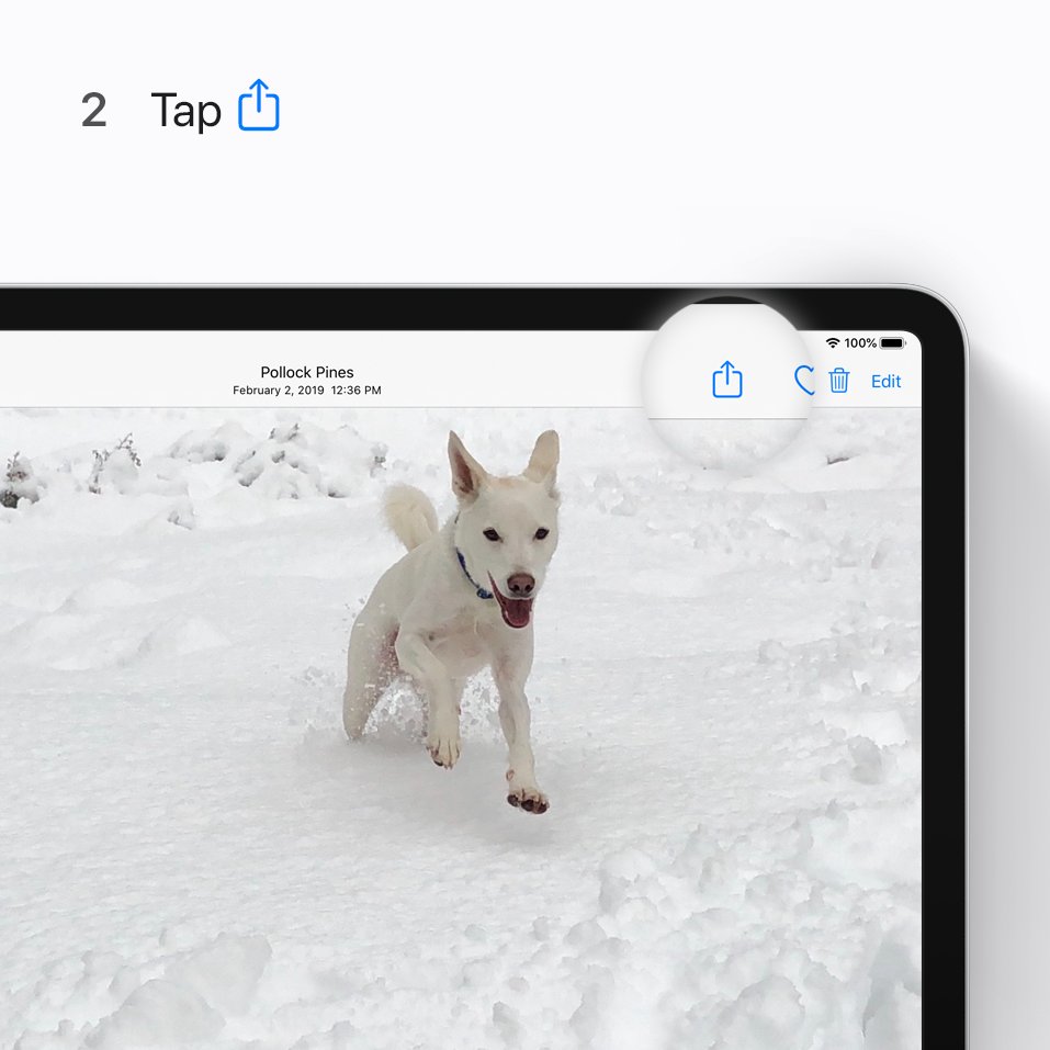 AppleSupport's tweet image. Can’t decide between Loop and Bounce? Duplicate your photo, and you can have one of each.
    
Here’s how to duplicate a photo in the Photos app.