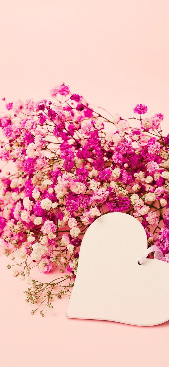 💕💖❤️👼🏻🐯❤️💖💕