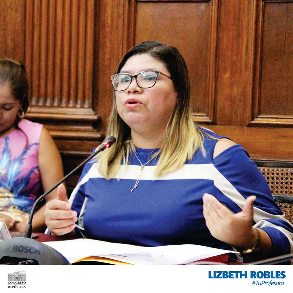 Participé en la sesión del grupo de trabajo que revisa el DU 017-2020, que establece medidas para el fortalecimiento de la gestión y el licenciamiento de los Institutos y Escuelas de Educación Superior, en el marco de la Ley 30512.