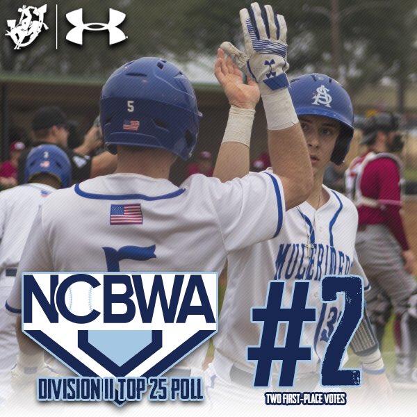 MuleriderSports's tweet photo. 🚨⚾️😎

SAU Baseball tops the Central Region rankings, receives a pair of first-place votes and lands at No. 2 nationally in the first weekly NCBWA Division II Top 25 Poll‼️

#GoBigBlue #RideWithUs #AK https://t.co/N1qM2BCL2E