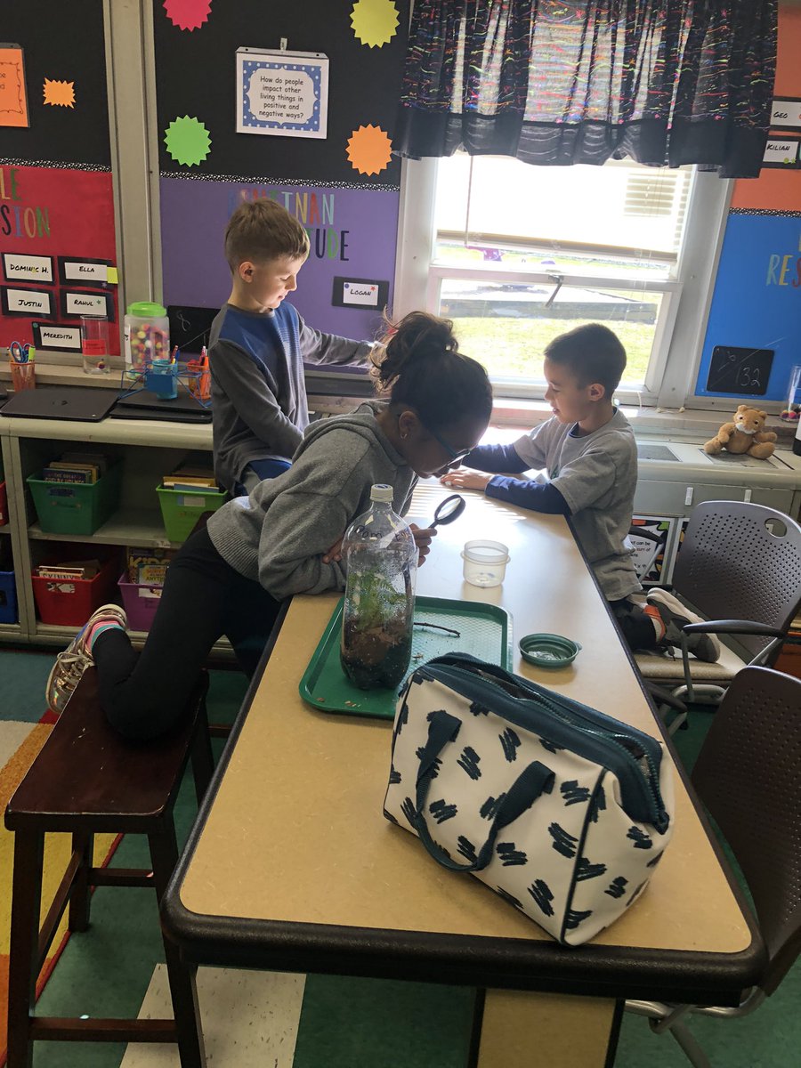 Kristinbarth5's tweet photo. Had a great time making terrariums with Miss. Lisa from the Holden https://t.co/hUAYqNGdDZ