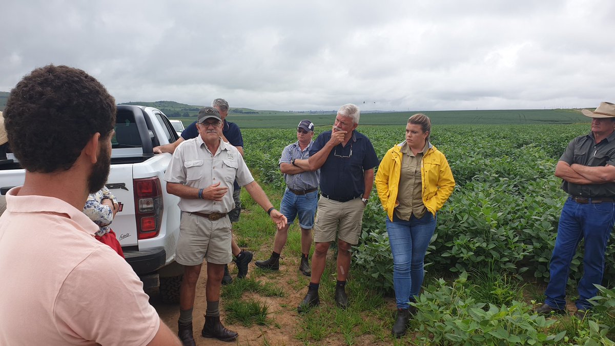 Johann Strauss tweet media