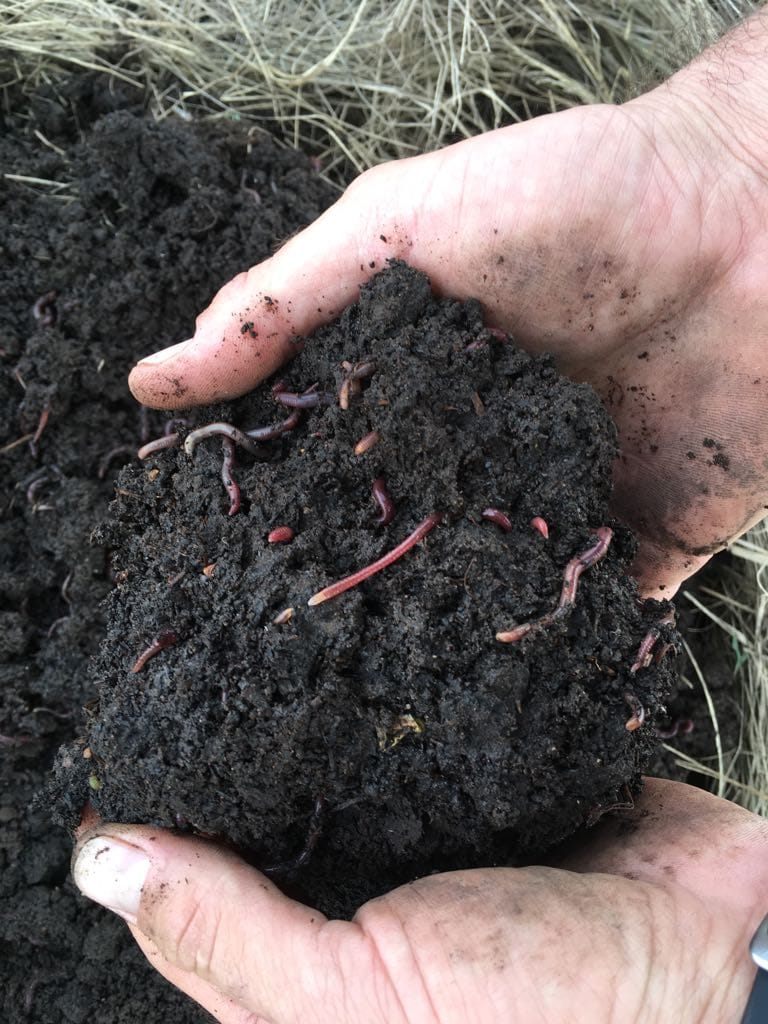 Johann Strauss tweet media