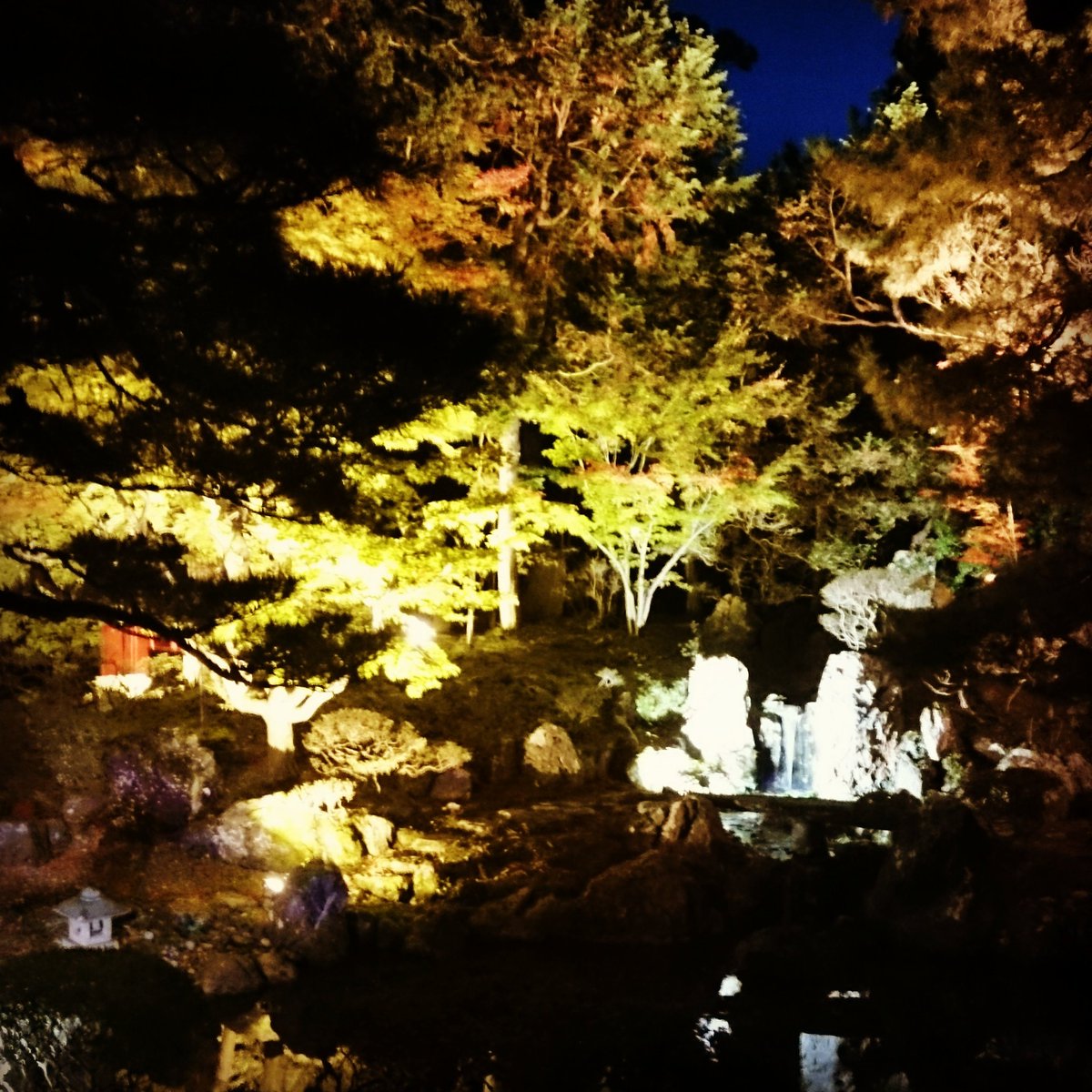 #これを見た人は黄色の画像を貼れ
黄色…… 