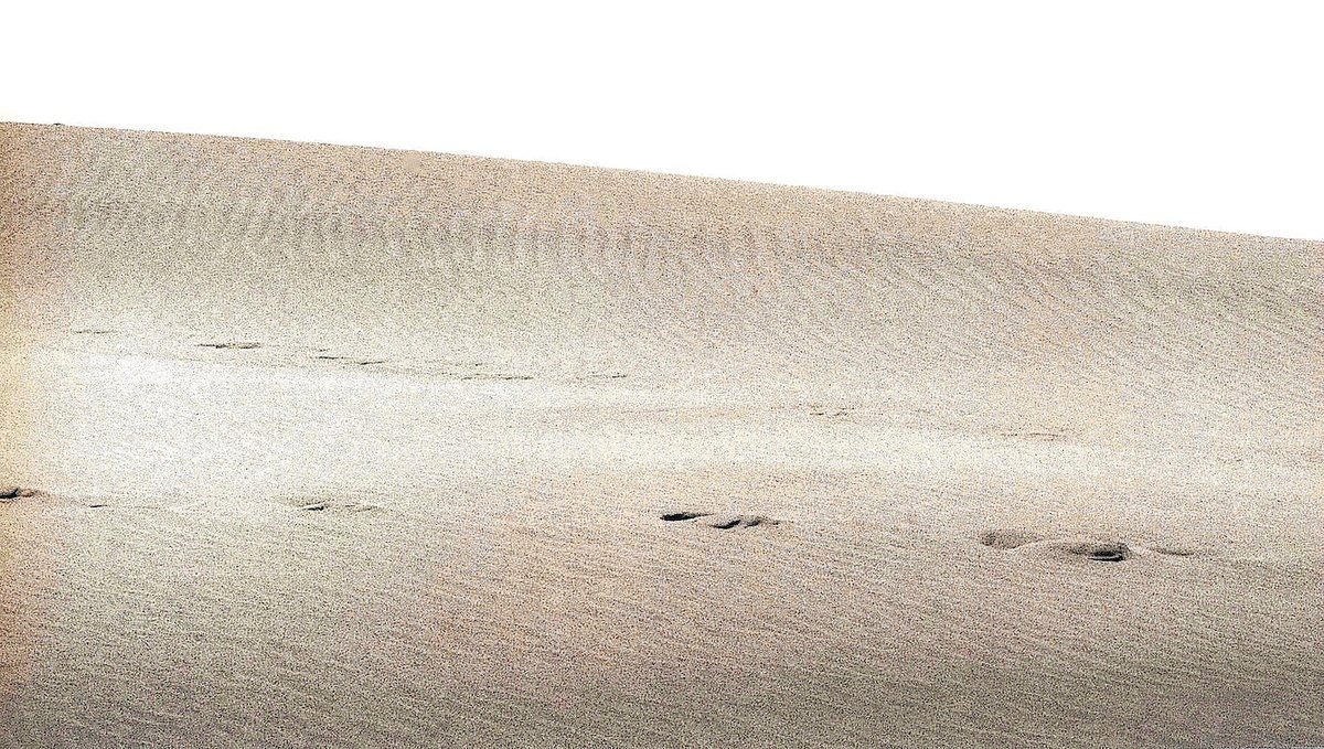 The Tottori Sand Dunes in Japan.  Photographic prints

#bnw #blackandwhitephotography #kodak #filmphotography #fineart #filmcamera #Japan #鳥取砂丘  #鳥取県 #bnwcommunity