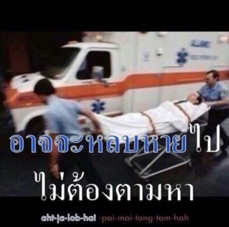 เผือก tweet media