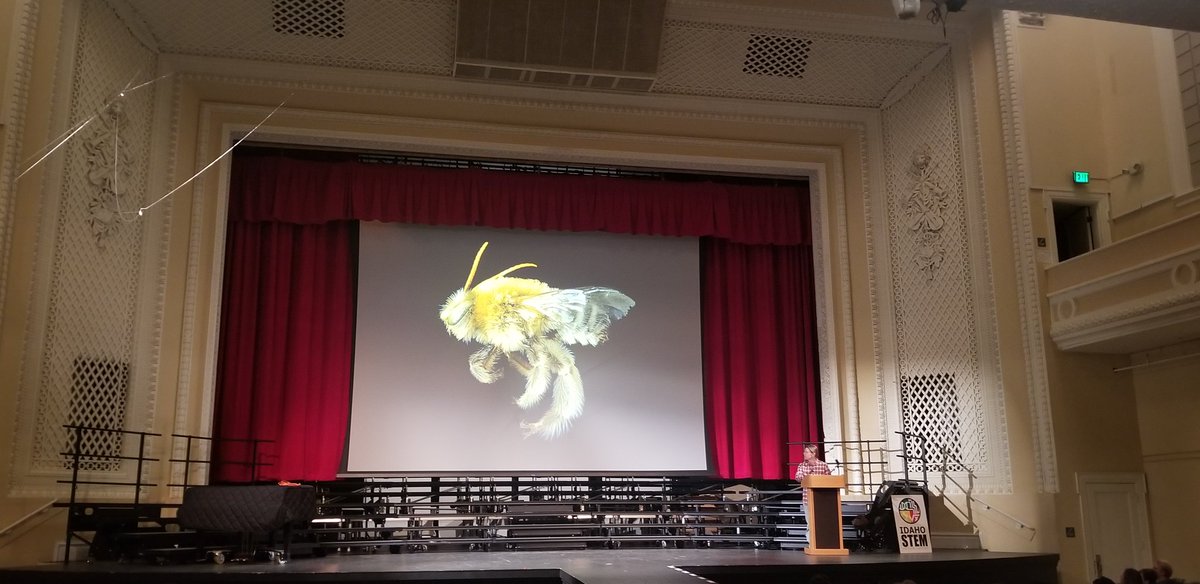 tayloc17's tweet photo. Over 200 Boise High students had the opportunity today to listen to Dr. Thor Hanson, national bee expert and author of "Buzz", who flew into Idaho for the day to speak to our students. https://t.co/zR8NLBdNOb