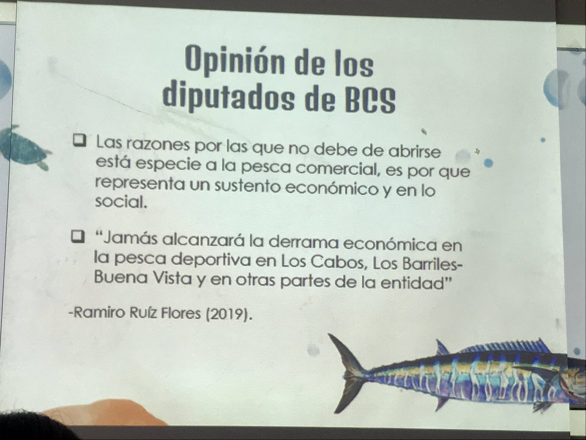 Patricia_Patron's tweet photo. En mi clase de Desarrollo Sustentable del #TecNM #ITLaPaz mis alumnos analizaron varios temas, entre ellos la apertura comercial del pez dorado. Concluimos que esta propuesta no abona al desarrollo sostenible de los habitantes de #BCS, en especial a #LosBarriles y #LosCabos 👇 https://t.co/hTrZiYCEue