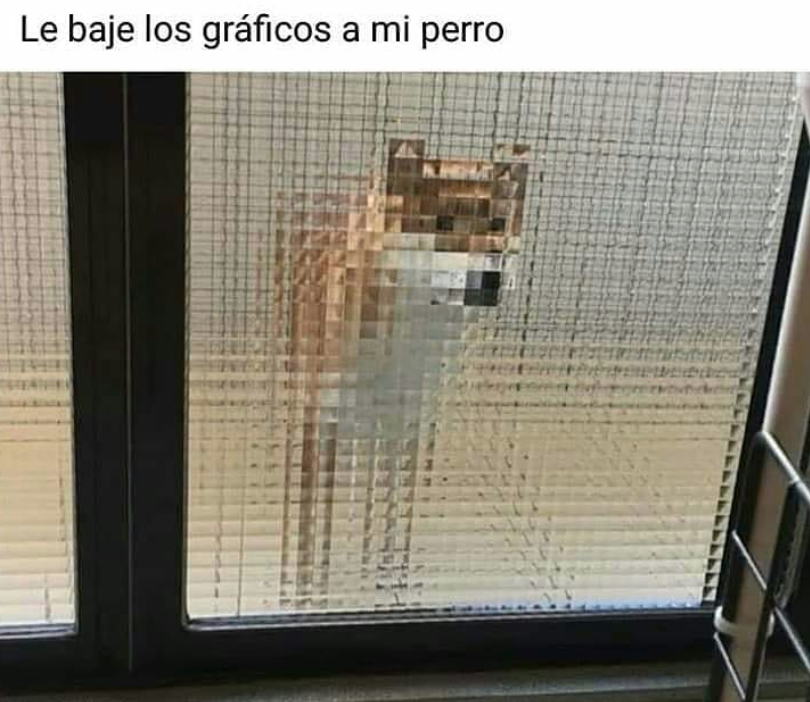 La Historia Del Meme Del Perro De Antes Y De Ahora Que Se Volvio