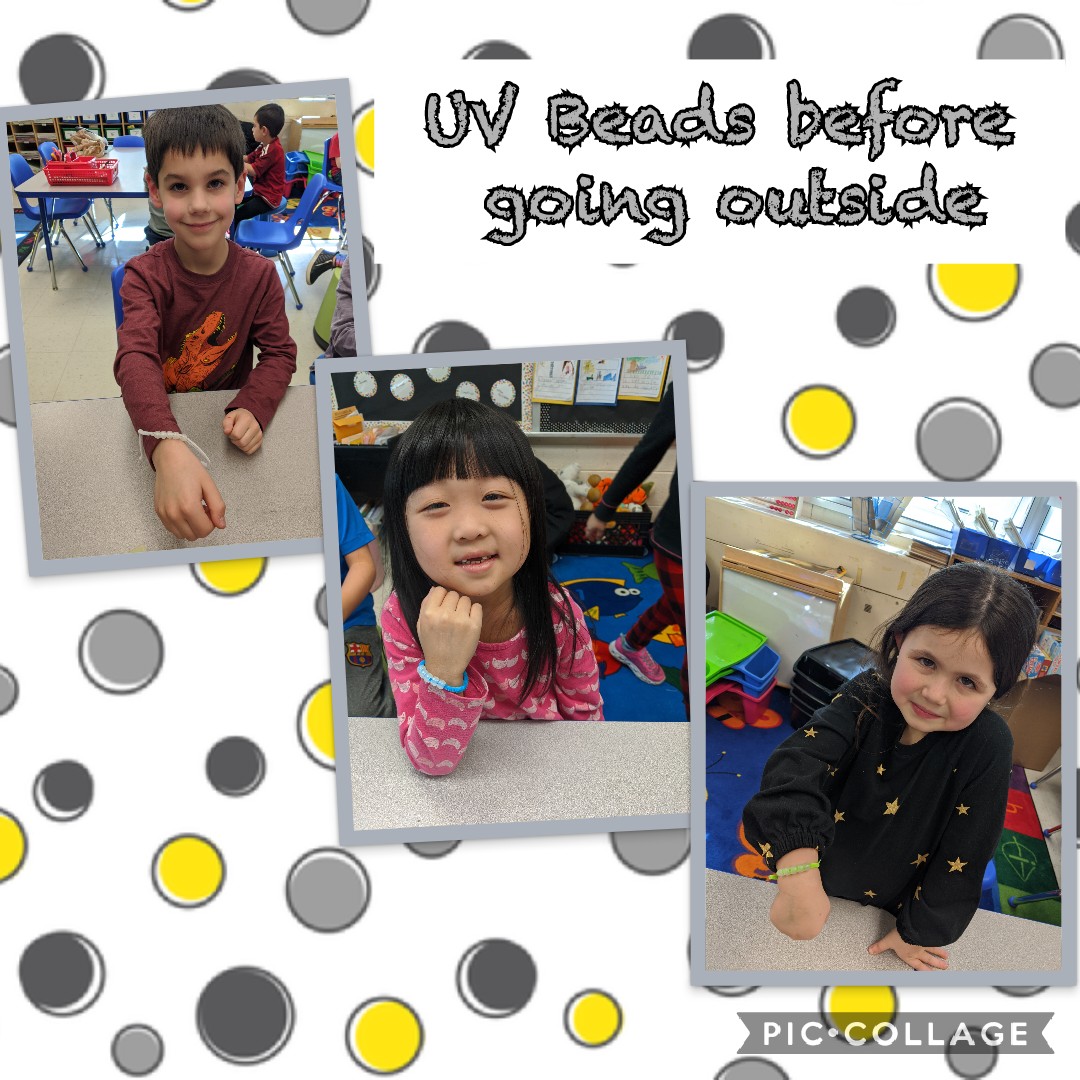 MissMcEleneyK's tweet photo. Kindergarten Scientist created  "mystery bead" bracelets @WoodcrestES. Next, we conducted a simple experiment to find out what makes "mystery beads" change colors outdoors @PPSLessons @CherryHillSTEM #ultravioletlight☀️ #WEareCHPS https://t.co/e3noChEqBB