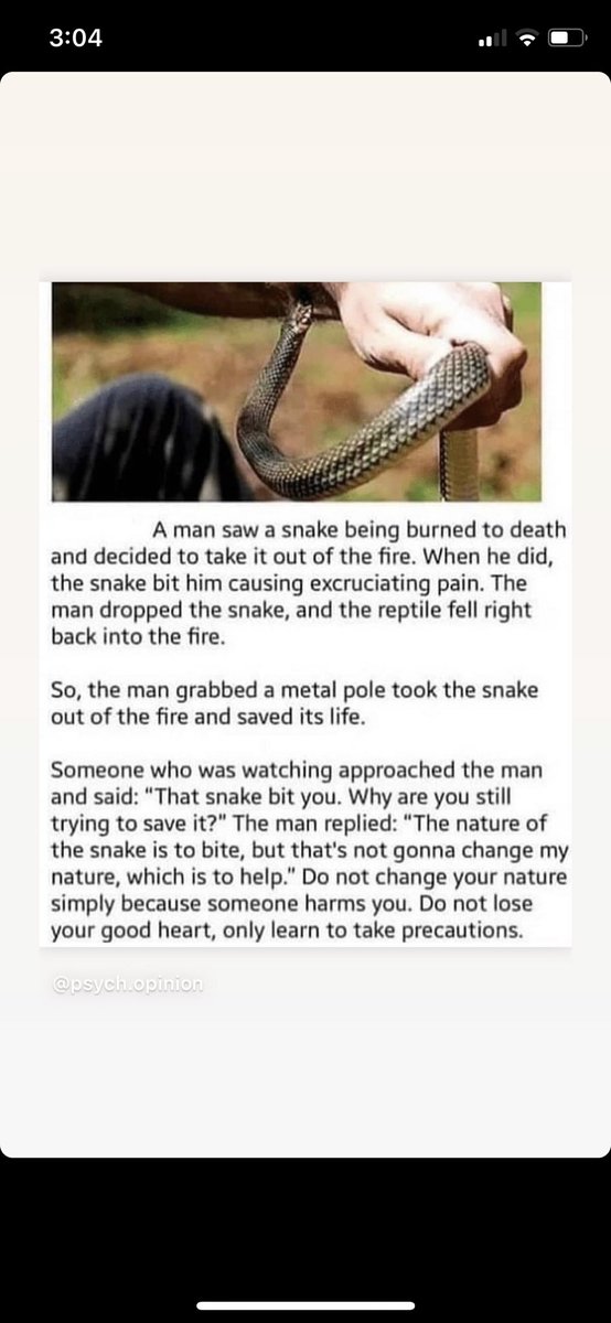 Ten000Hours tweet media