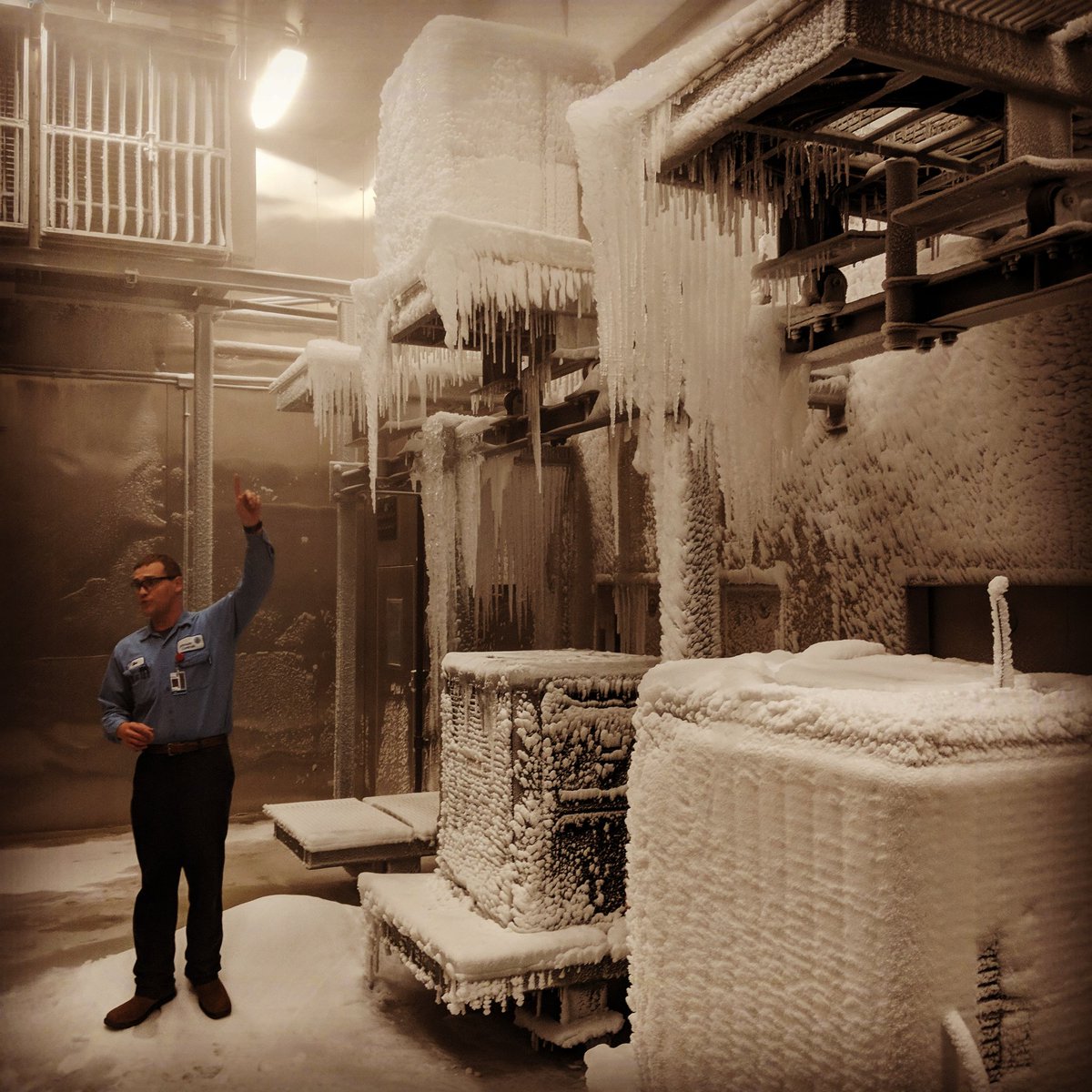 Truficient tweet media