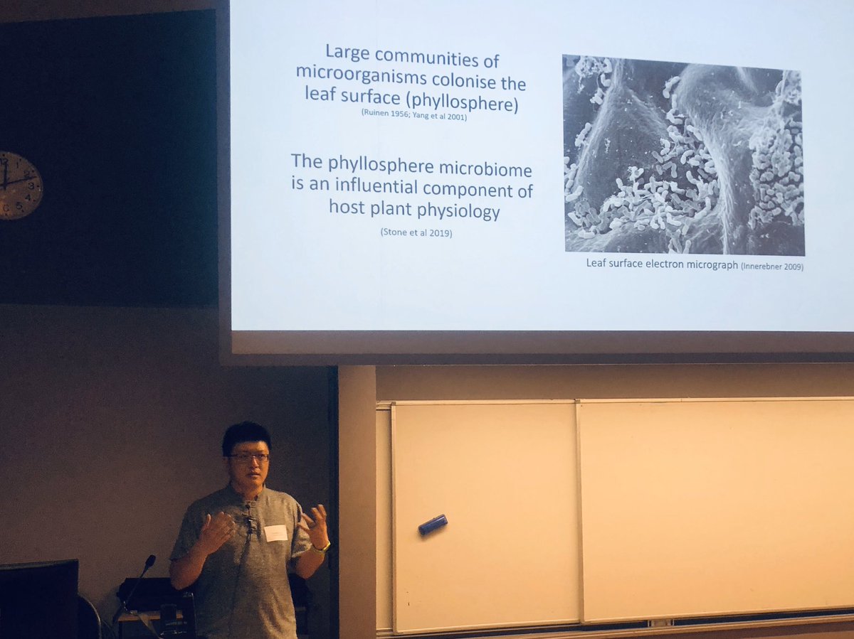 MicrobiologyNz's tweet photo. Charles Lee (@waikato) is stepping in for his student Anya Noble to talk about the Phylosphere and microbiome of Honeybees here in New Zealand... relevant to our manuka industry! #SaveOurBees #HoneybeeScience https://t.co/hOrLdd1Z0g