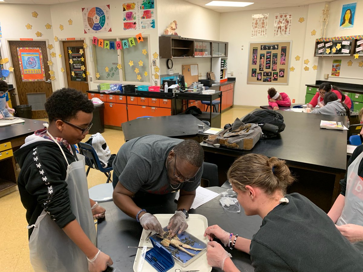 Ms D's Science Zone tweet media