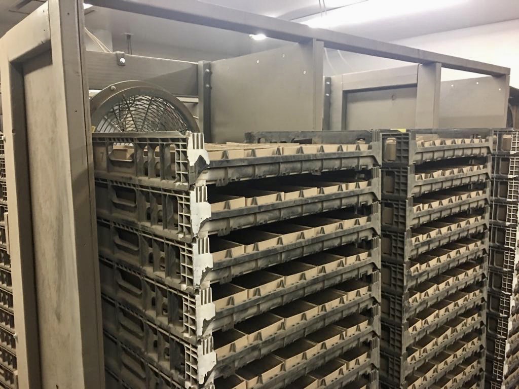 Clarion_Arg's tweet photo. Trabaja principalmente recibiendo muestras provenientes de cooperativas que realizan muestreo de suelo en grilla para la aplicación variable de fósforo, potasio y encalado.
#AgSource #Iowa https://t.co/HYVQJtLEdO