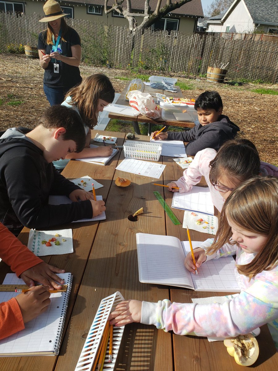Thanks <a href="/GardenEdSandra/">Sandra Knoy</a>! Today 4/5 graders learned about how seeds travel. Students then observed 8 different fruits with seeds and wrote in their notebooks. Of course the kids got to eat the samples! #outdoorlearning <a href="/UELFSEAWOLVES/">UELFCRPUSD</a> <a href="/UELF_PTA/">UELF PTA</a>