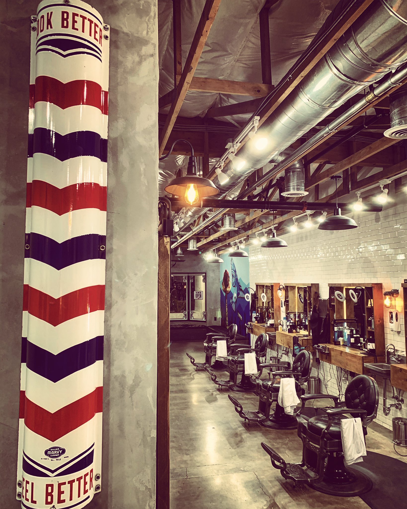 Bluebird barbers sale