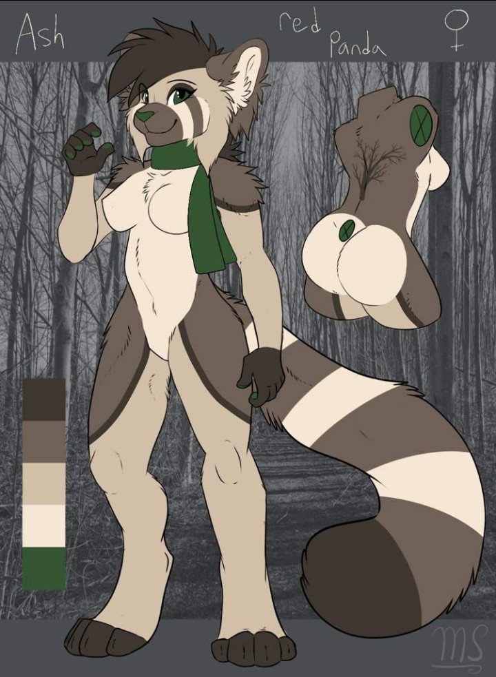 RedPandaAsh's tweet photo. 😍Welcome to my twitter page, nothing but positive vibes and supportive messages here.😍

💚@PineMartenSage is my life and soul💚

🎨I am open to fan art of Ash you are welcome to use below images as reference🎨

But most importantly remember.

 #YouBeYou

Love Ash the Red Panda https://t.co/DVvV3f1Wji