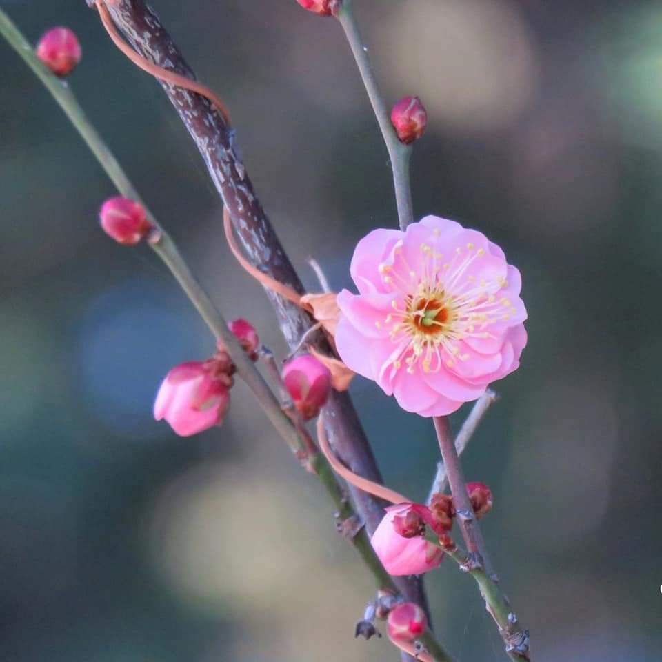 .

용서

잊어버리는 것과 용서한다는 것의 차이가 뭔줄 아시나?

용서를 하면 모든것을 다 잊어 버리게 된다.

하지만 용서를 하지 않고 그냥 잊어버리기만 하면 

종종 그 일을 다시 기억하게 된다.

그러니 다 내려놓고 용서하시라.

.