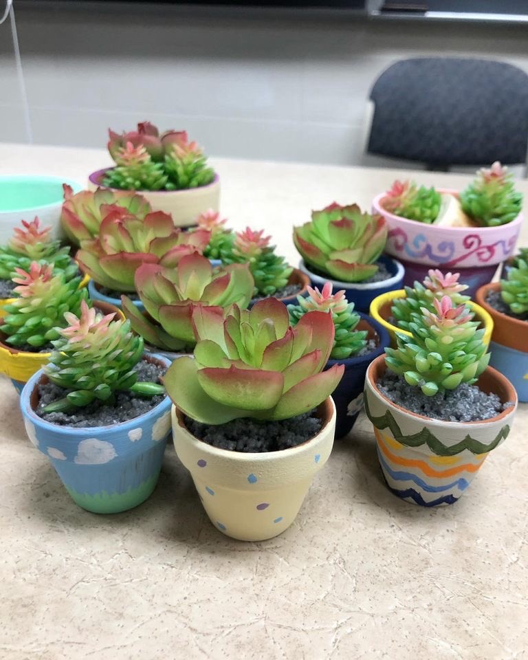OhioStateBRAIN's tweet photo. ... and also made ‘succulents’ for patients at @OSUCCC_James with our friends at KindCarts last night! Upcoming this week is our next #NeuroNights program and our Brain Injury Awareness 5K/1 Mile Walk is just around the corner! https://t.co/q96rTghAvr