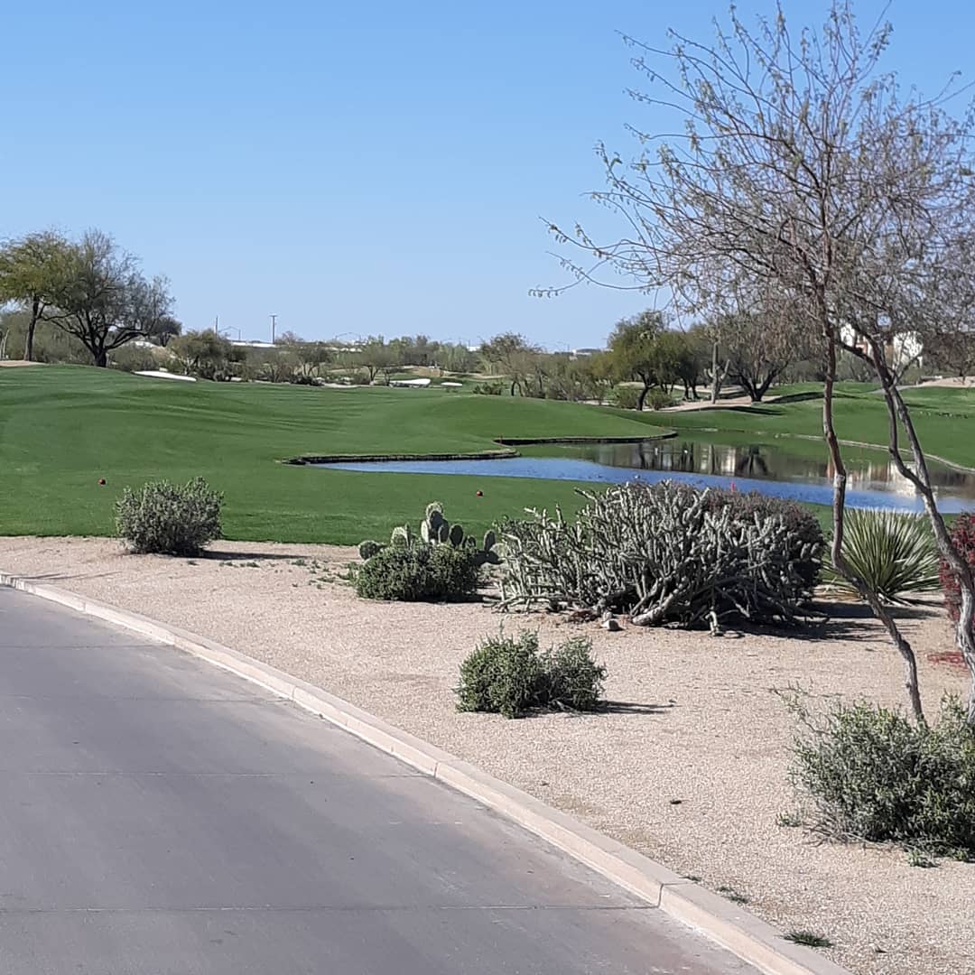 DomzalskiMark's tweet photo. Great day at the Stadium Course #greatgolfcourse #beautifulgolfcourses https://t.co/6nbLyl5sEK